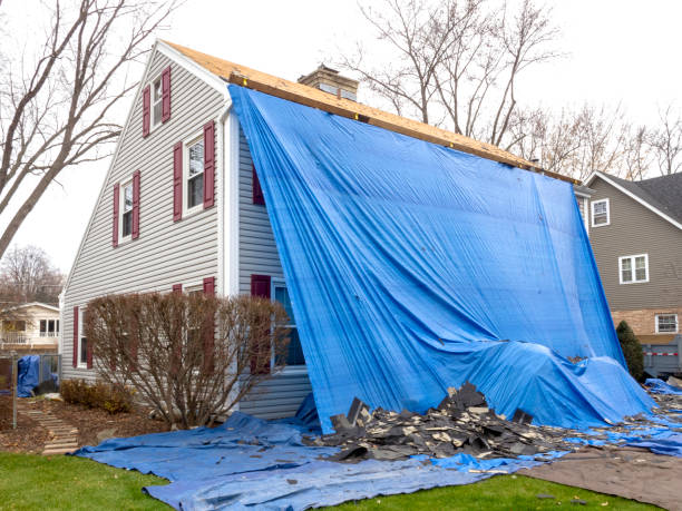 Best Vinyl Siding Installation  in Rutherford, TN